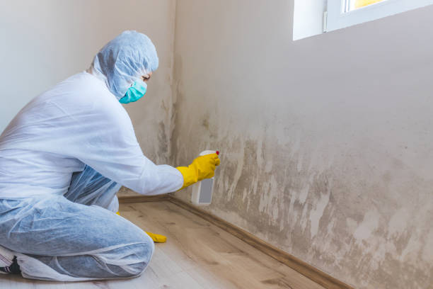 Licensed Mold Remediation service in Waynesboro, VA - 24 Hour Mold Removal