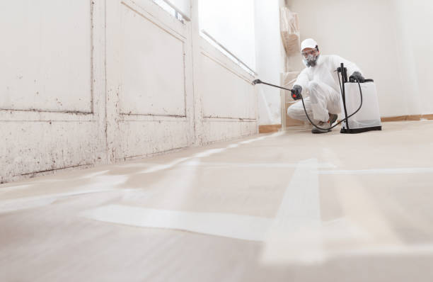 24/7 Emergency Mold Remediation experts in Waynesboro, VA
