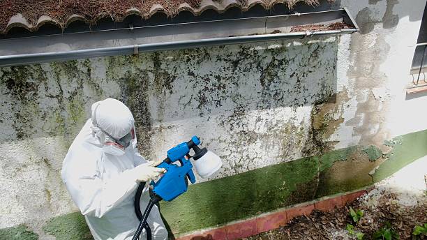 Top rated local Mold Remediation specialists in Waynesboro, VA